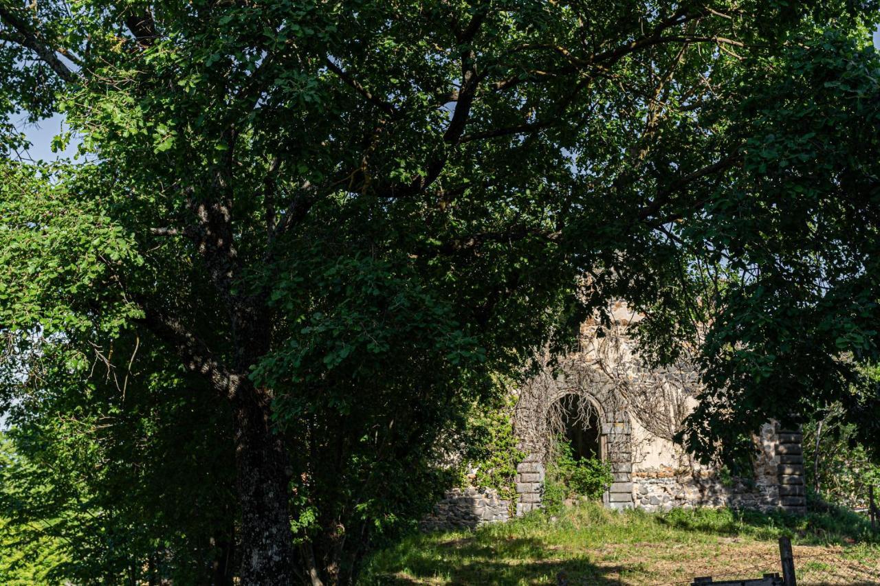Le Casette Di Luisa Bagnoregio Exterior photo